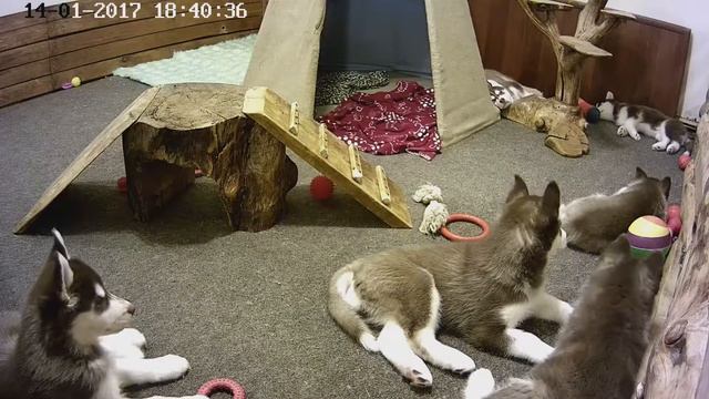 2017.01.14 17:23:51 Кусочки стрима 16.11.14-17.01.30 #4 смотреть онлайн