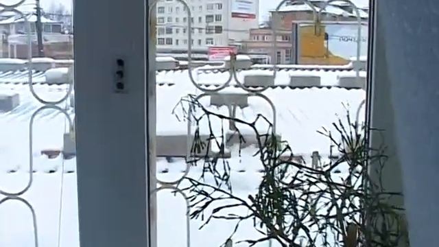 телемаг смотреть онлайн