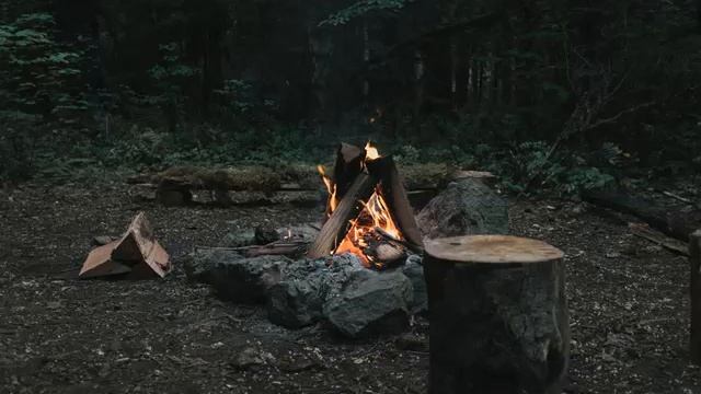 Треск костра совместно с пением птиц на берегу реки, расслабляющая музыка с эффектом присутствия смотреть онлайн