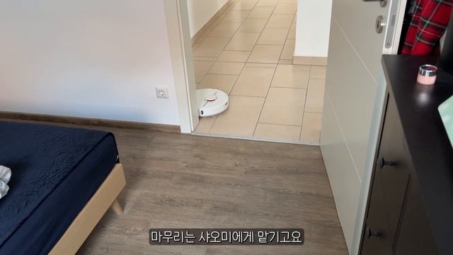 SUB•VLOG?? #42 집밥만드는 20주 임산부 독일일상??, 크리스마스 준비? (oyoy 택배언박싱, 카레, 고추장크림파스타, 어묵탕, 귀뚜라미 카본매트, 삼겹살, 파김치) смотреть онлайн