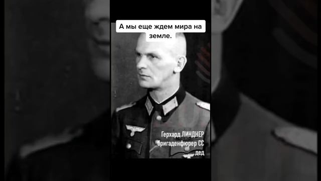 Они нам не простили. смотреть онлайн