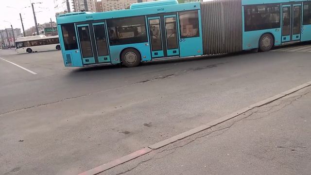Автобус 74 маршрут МАЗ-203 1215, 157 маршрут 3327, 54 МАЗ-203 1159 и 326 МАЗ-203 8451 Ст.М.Купчино смотреть онлайн