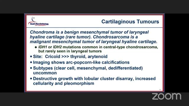 Towards Extinction of Not Otherwise Specified:WHO Head & Neck Tumours Classification 5th edition - смотреть онлайн