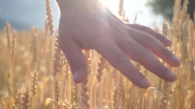 Robert Miles - Children (instrumental) смотреть онлайн