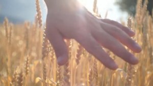 Robert Miles - Children (instrumental)