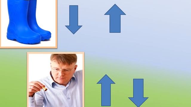 Дифференциация звуков с помощью приемов мнемотехники смотреть онлайн
