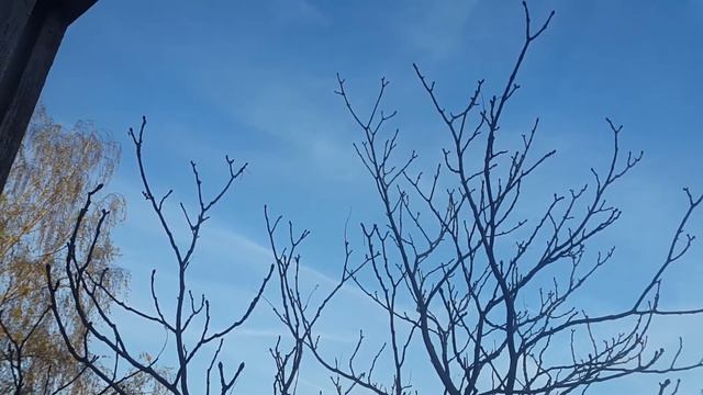 ТЕПЛО, СОЛНЫШКО СВЕТИТ, ПОГОДА РАДУЕТ!!! 27.10.2020. смотреть онлайн