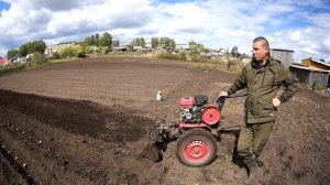 Мотоблок "ОКА" с двойным окучником на передней навеске.Садим картошку.