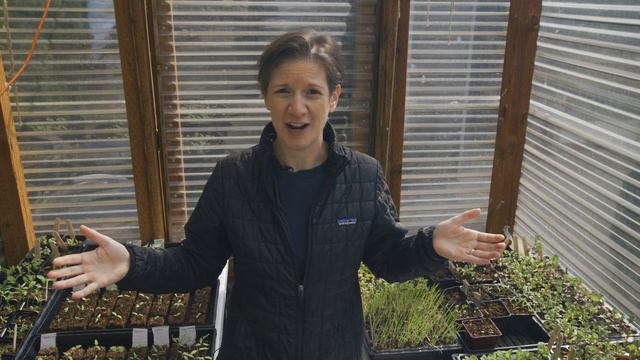 Is Soil Blocking Worth It? | Soil Block Tips and Tricks | Pacific Northwest Gardening смотреть онлайн