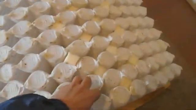 Ремонт Mediflex Spine Balance (Аксона) смотреть онлайн