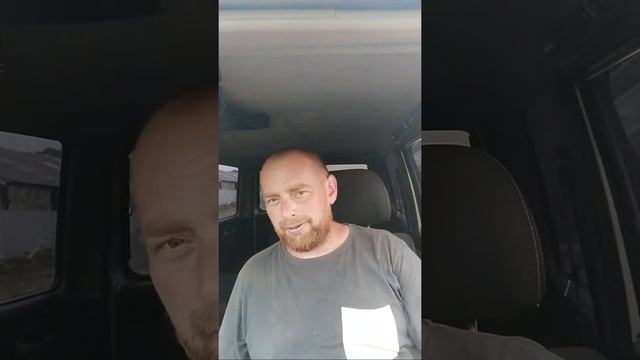 Выгульное (пастбищное) свиноводство смотреть онлайн