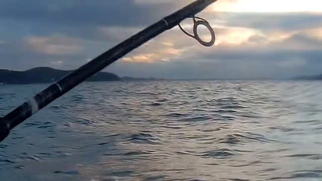 Акула, Shark. Как мгновенно доплыть до берега или строим кирпичный домик на байдарке =)))) смотреть онлайн