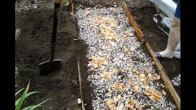 09.09.2017 "Теплая" грядка- отличный урожай в течение нескольких лет. смотреть онлайн