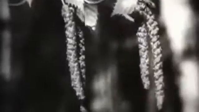 Опыление цветковых растений смотреть онлайн