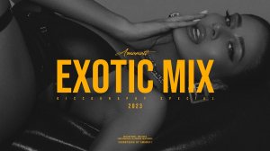 Exotic Mix 2023 - Discography Special (Exotic Electronic Music Continuous Mix)