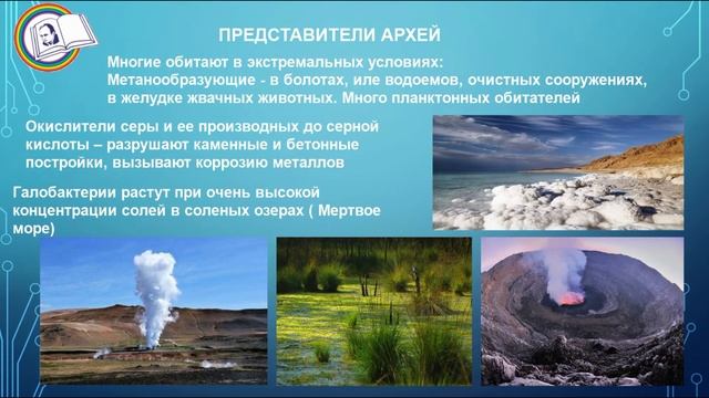 Классификация бактерий