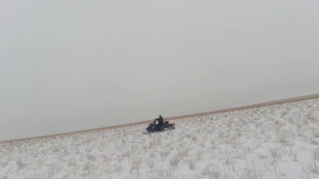 Охота на Волков 2022 смотреть онлайн