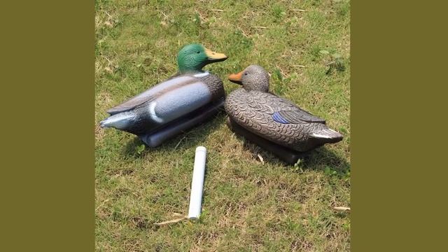 Купить Пласмасовые Чучела Уток На Алиэкспресс смотреть онлайн