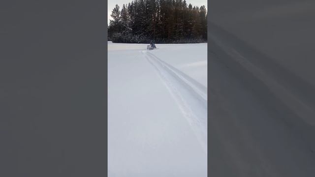 Покатушки2020 в лесу на самодельных снегоходах. смотреть онлайн