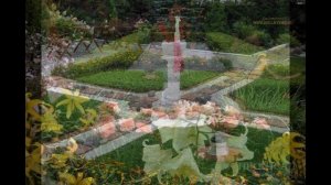 Сад  Николая Дементьева. Иваново.