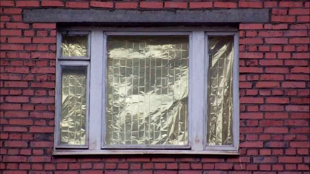 Дачные истины