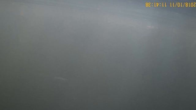 Тест GO PRO SJ 4000, под водой