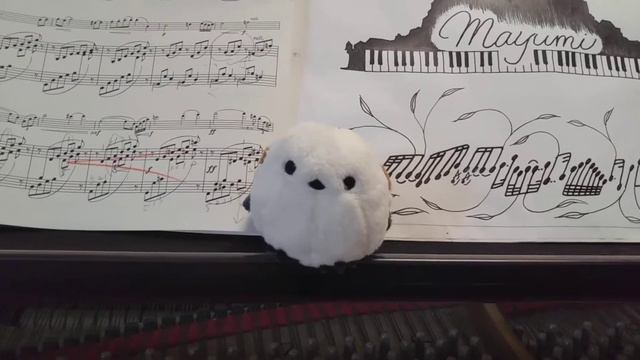 *239*「🎵改めて」「🎵音楽の定義2」「🎵振動数？周波数？」「🎵その日その時その場所で」 смотреть онлайн