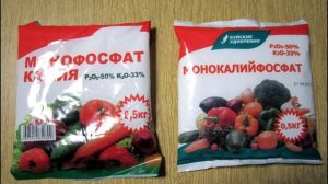 Как разбудить герани. Монофосфат калия для пеларгоний. Первая подкормка герани весной