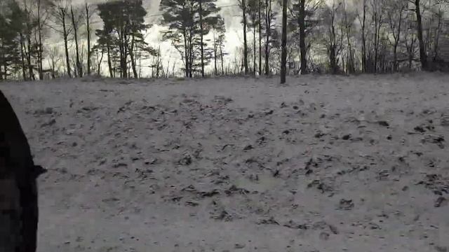 Ласточка кратко. 6 января 2022 смотреть онлайн