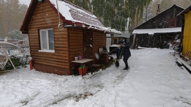 Выпал первый снег / The first snow fell смотреть онлайн