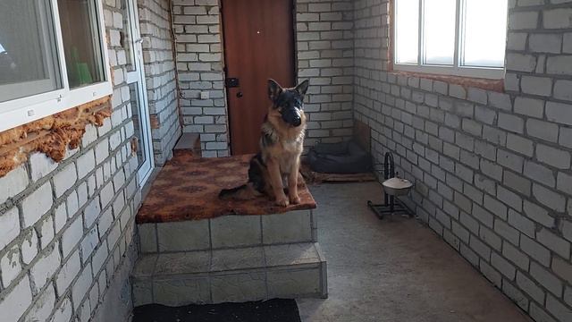 Герда. Пройден второй уровень команды сидеть-5 минут (выдержка).