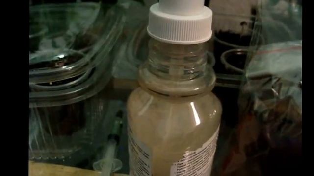 Цикламен (cyclamen).Стимуляция и иммунизация cеянцев цикламена смотреть онлайн