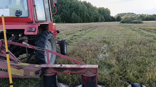 Косилка WIRAX какую взять 1.65 или 1.35 ? смотреть онлайн