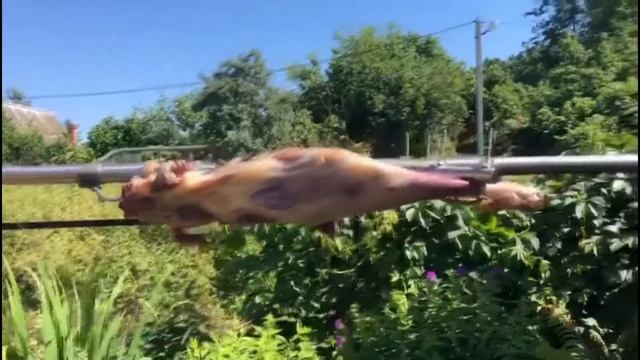 Отзыв о вертеле для костра ПроВертел смотреть онлайн