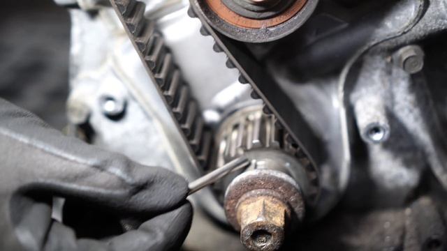 Honda Integra X BC Customs | Honda B16C6 Engine Swap | Unser erstes Video! смотреть онлайн