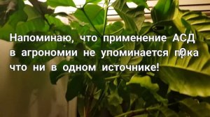 ⚗ АСД в агрономии. После полива прошло 4 месяца. 09.05.2019.