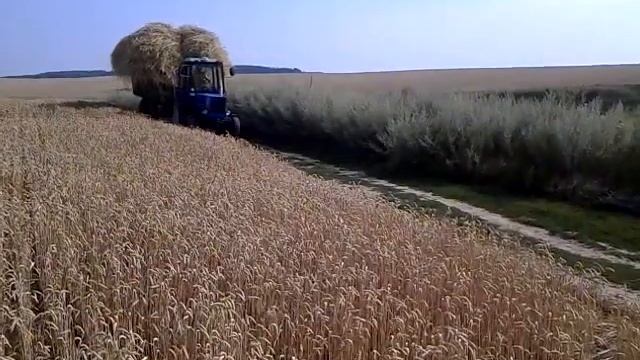 Т25 з прицепом від МТЗ 80 смотреть онлайн