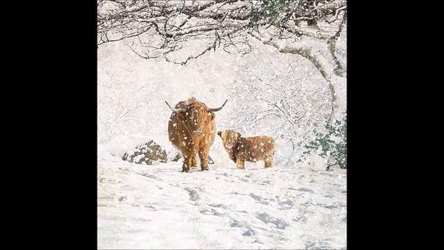 Зимняя сказка поет Георг Отс худ Джейн Кроутэр смотреть онлайн