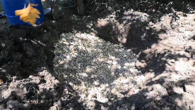 Подготовка посадочных ям для посадки гортензий, крупнолистных и метельчатых смотреть онлайн