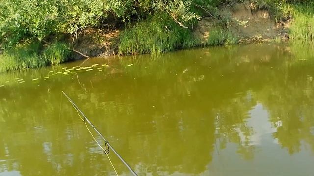 Рыбалка на кружки, спиннинг и бортовую удочку. День второй. смотреть онлайн