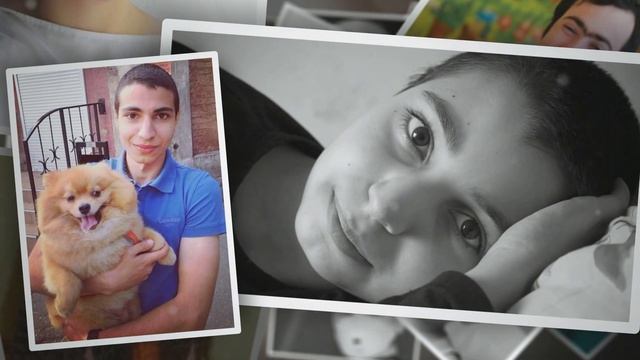 Выздоровевшие подопечные фонда смотреть онлайн