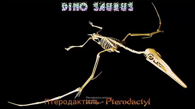 Pterodactylus - The Sound Effects Of Pterodactylus