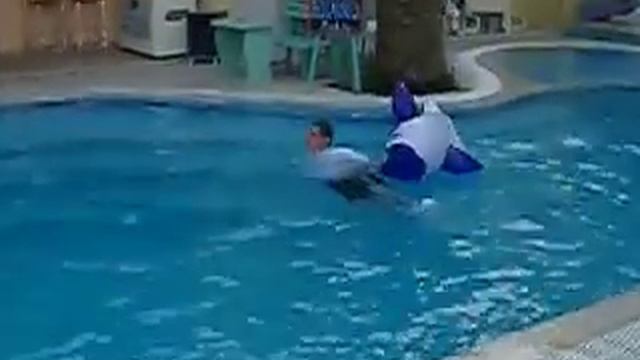 dolphin diving! смотреть онлайн