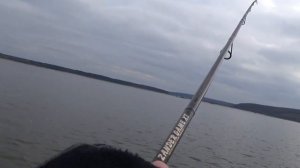 [Hearty Rise] Zander Game Limited XT. Что такое настоящая "злость".