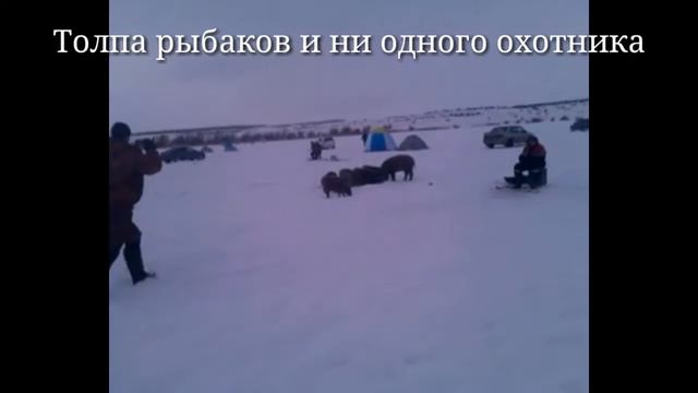 толпа рыбаков и ни одного охотника смотреть онлайн