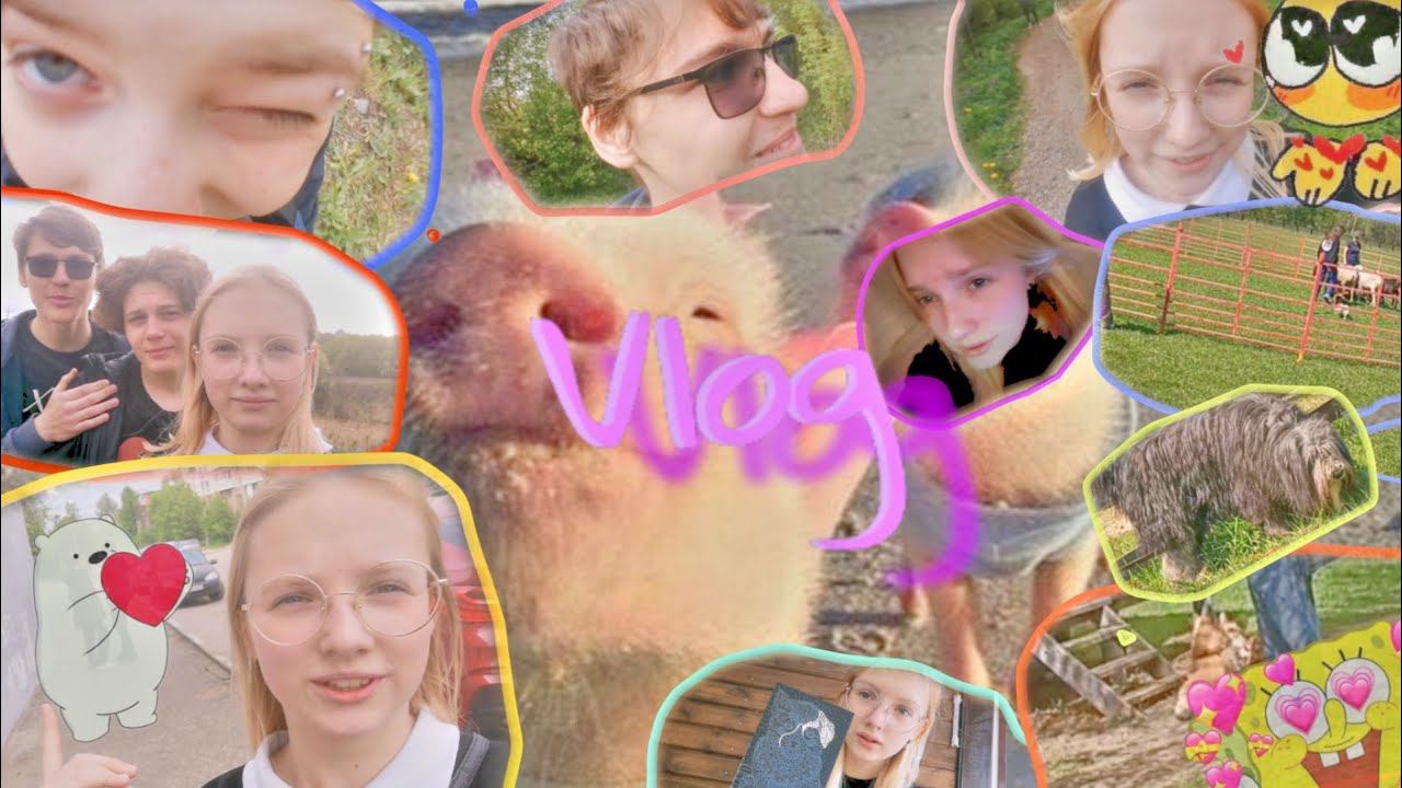 новый Vlog... ❤️#рек #рекомендации