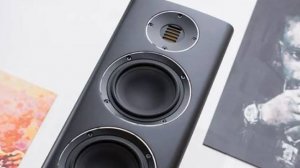 Краткий обзор и пример звучания Elac Carina FS 247.4 + Hegel H70 +Topping E70