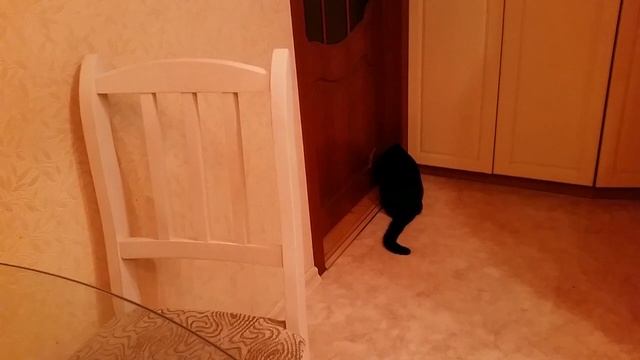 Оригинальные подарки! Что подарить?Идея! Лайфхак ? смотреть онлайн
