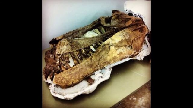 ДАСПЛЕТОЗАВР И ГОРГОЗАВР! ШКОЛОЗАВР смотреть онлайн