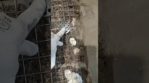 Как заделать трещину в стене.Лучший способ!